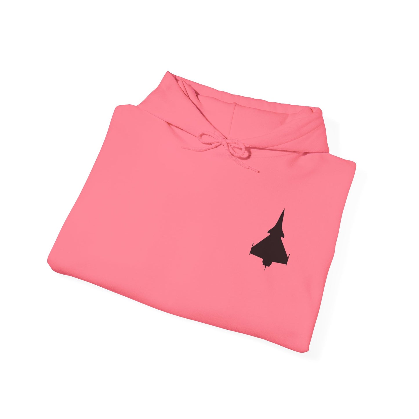 Dassault Rafale Fighter Jet Unisex Hoodie
