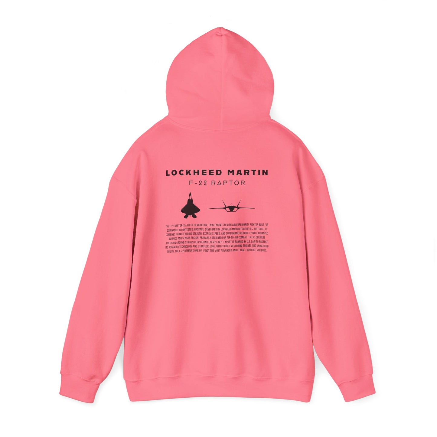F-22 Raptor Fighter Jet Unisex Hoodie