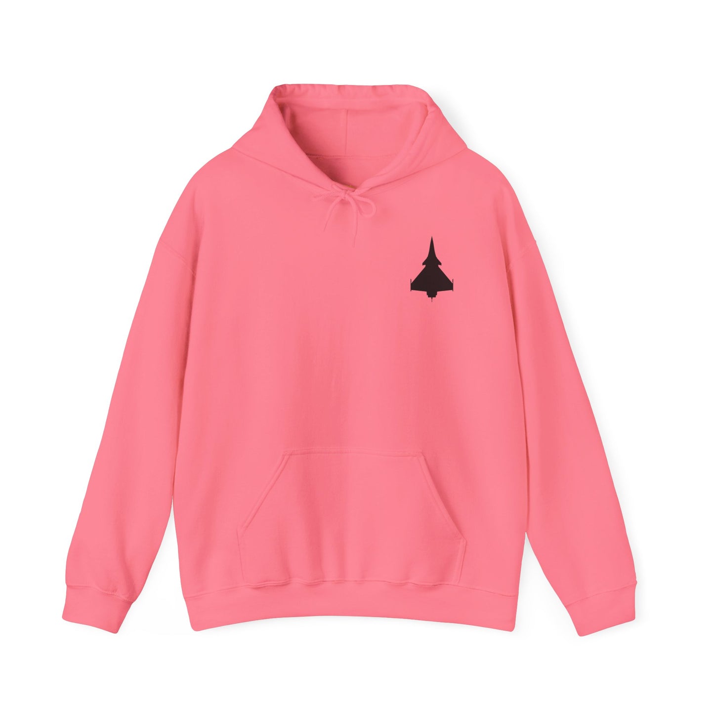 Dassault Rafale Fighter Jet Unisex Hoodie