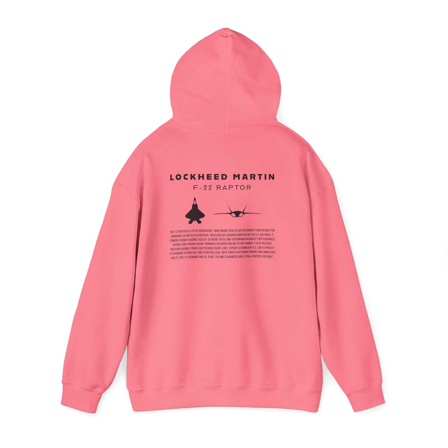 F-22 Raptor Fighter Jet Unisex Hoodie