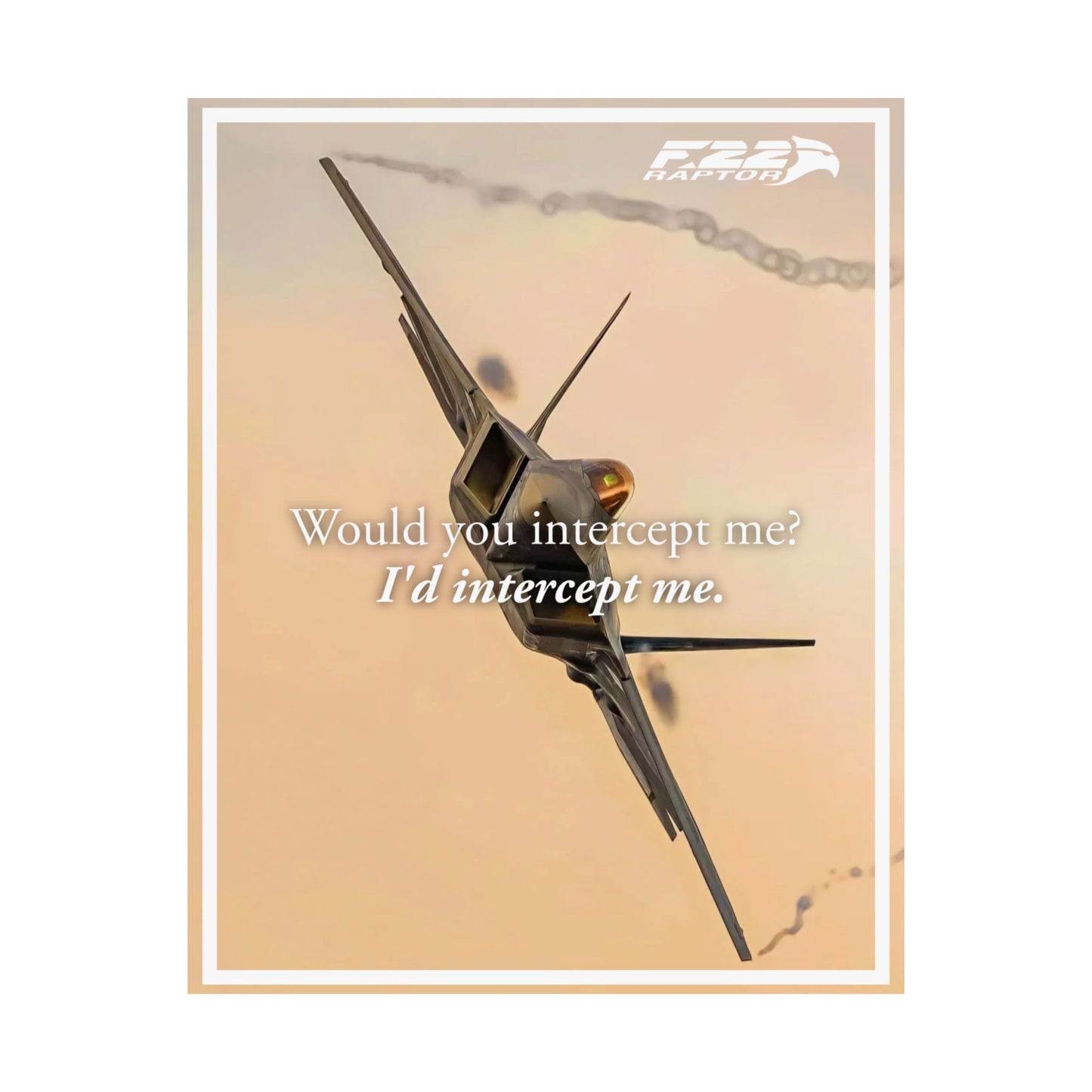 F-22 Raptor "I'd Intercept Me." Matte Vertical Poster