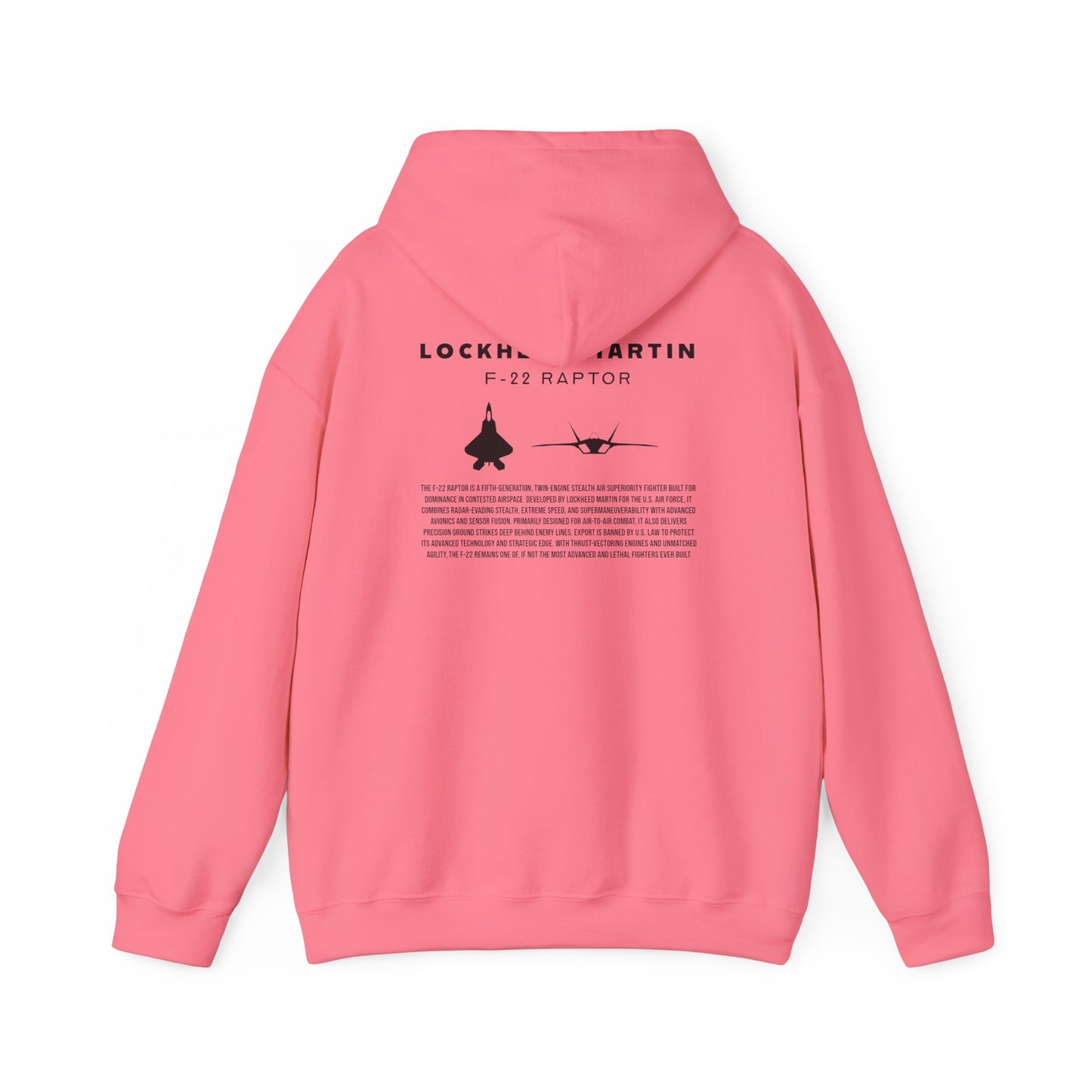 F-22 Raptor Fighter Jet Unisex Hoodie